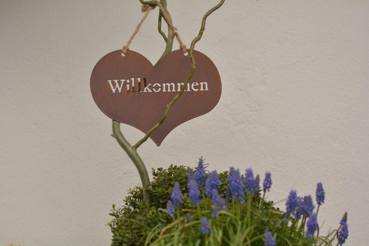 Appartement Karnutsch Schenna Zewnętrze zdjęcie